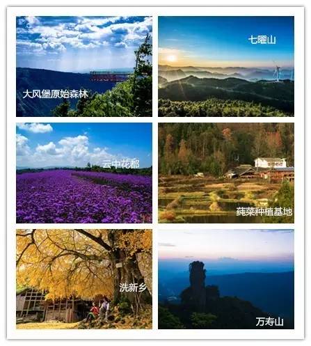 中国最粗壮的石柱,中国最粗壮的天然石柱