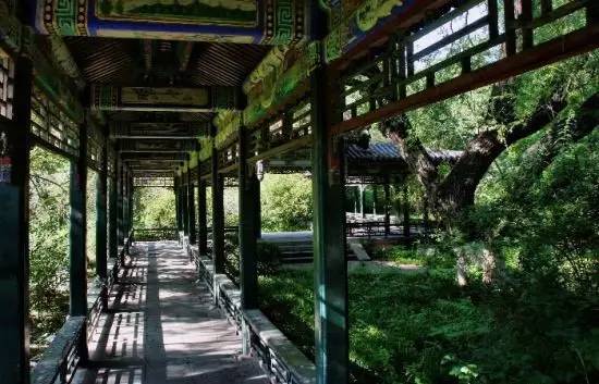 左边圆明园,右边颐和园,前边海淀公园,紧挨着北大和清华,厉害了word西苑医院|再发现西苑医院的十大理由