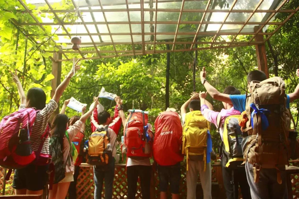 雷子的情感故事大全集,我和雷子的故事