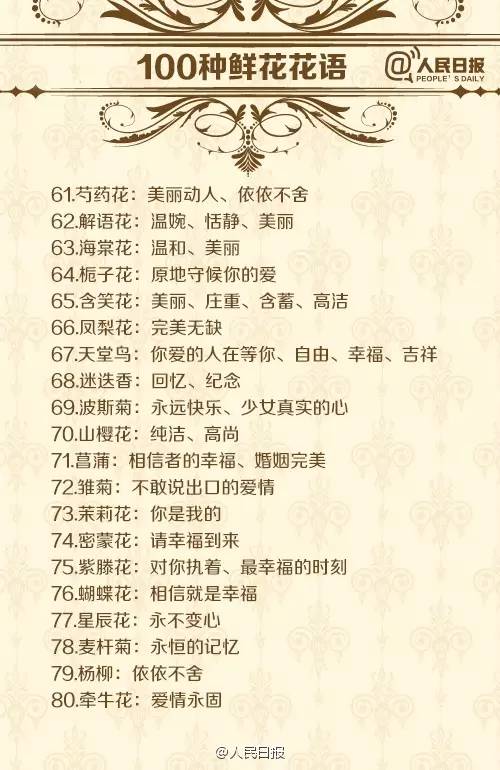 各种鲜花花语介绍大全简短,鲜花介绍花语大全简短一点