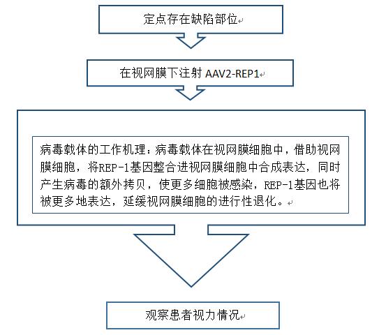 研发基因治疗药物NightstaRx要做无脉络膜症患者的光明使者