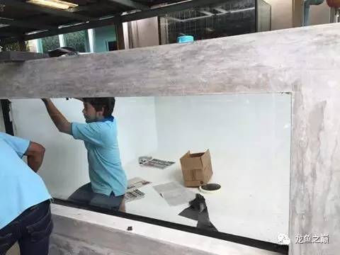 被龙鱼驱赶，哭！