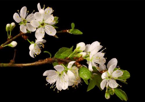 「长沙汇」长沙十条措施为担当者撑腰｜长沙多地今日将停水｜长沙男孩找爸爸意外坠亡｜“无事酒”乱象：有人年均200场酒宴