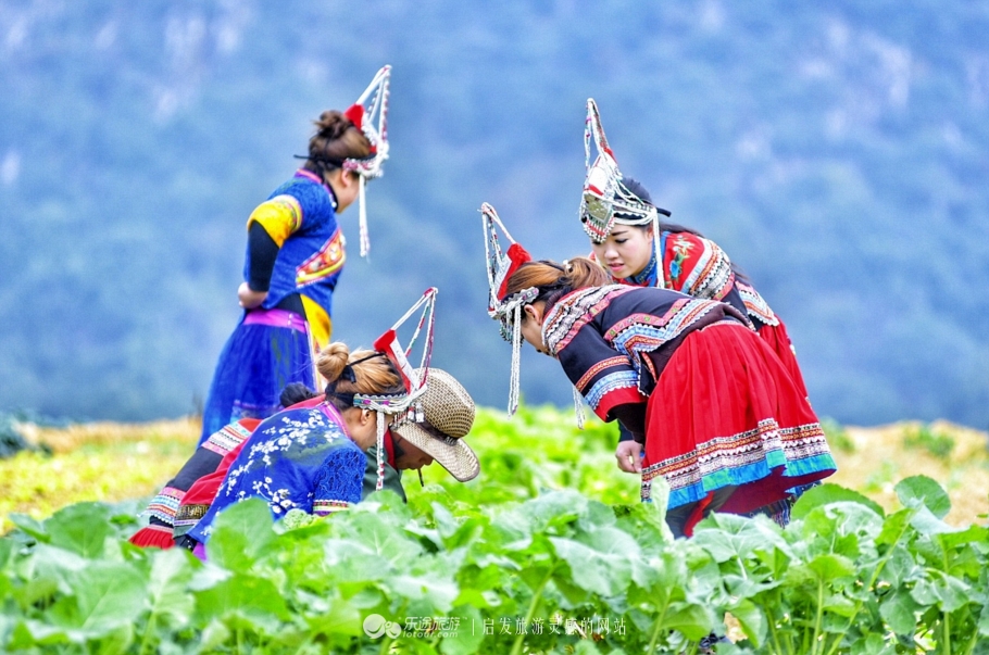 云耕生活记你耕田来我织布