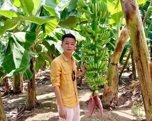 小伙千里种花生年赚四十万,小伙回乡种赣南脐橙年入百万