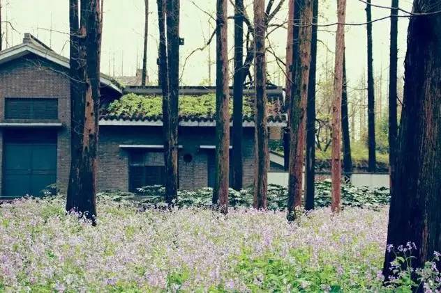 超实用杭州旅行全攻略,杭州攻略推荐