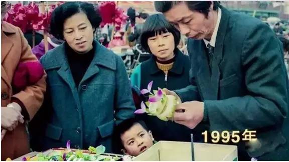 秦淮灯会有哪些看点值得你来,第35届秦淮灯会璀璨亮灯