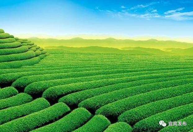 瀹滃鍍伴亾,瀹滃鍍拌尪