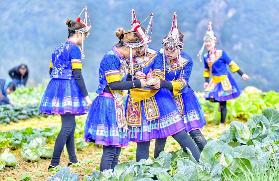 云耕生活记你耕田来我织布