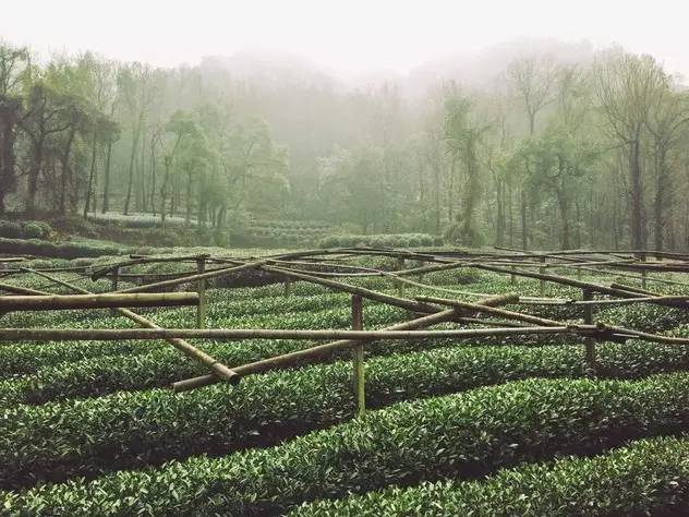 超实用杭州旅行全攻略,杭州攻略推荐