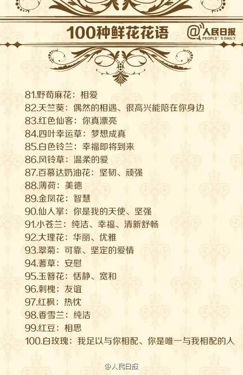 各种鲜花花语介绍大全简短,鲜花介绍花语大全简短一点