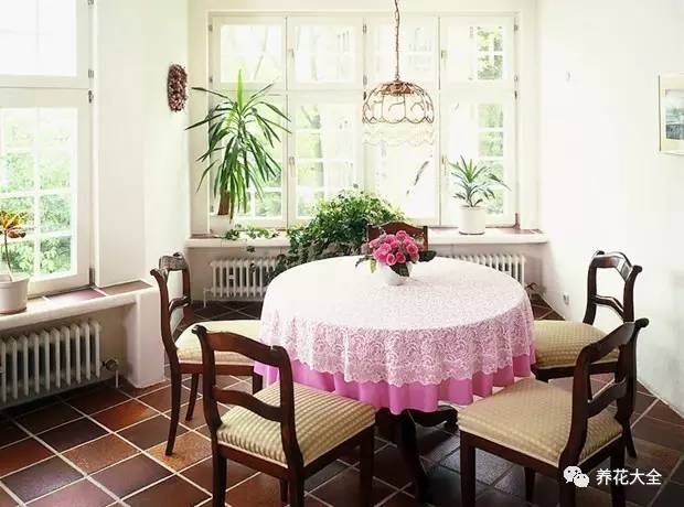 过年年宵花好卖吗,过年摆的年宵花有哪些