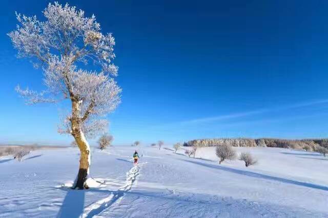 伊春的壮美之冬,伊春的风景区