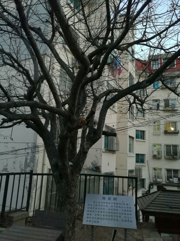 追寻历史遗迹感受文化魅力,八七疗养院历史遗迹