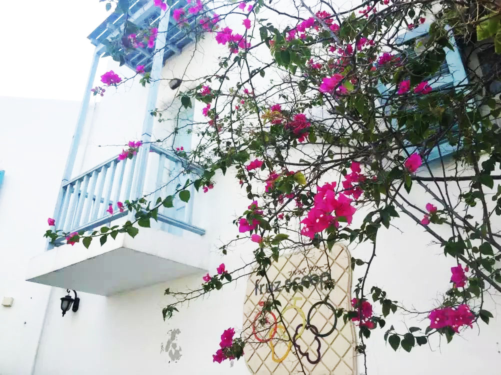 泰国曼谷芭提雅华欣7天自由行 (泰国华欣与芭提雅是一个地方吗)