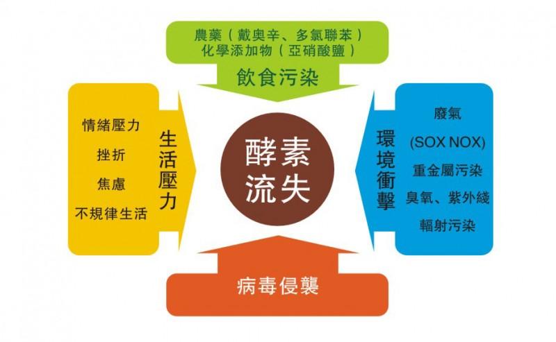 酵素喝得多就能达到减肥的效果吗,酵素真的能减肥吗专家告诉你真相