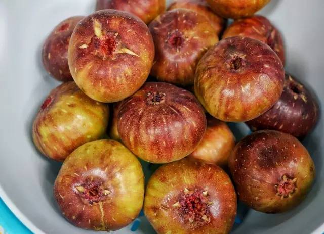 浜彈姘存灉鐢樼敎,浜彈鏃犺姳鏋滃甫鏉ョ殑鐢滆湝