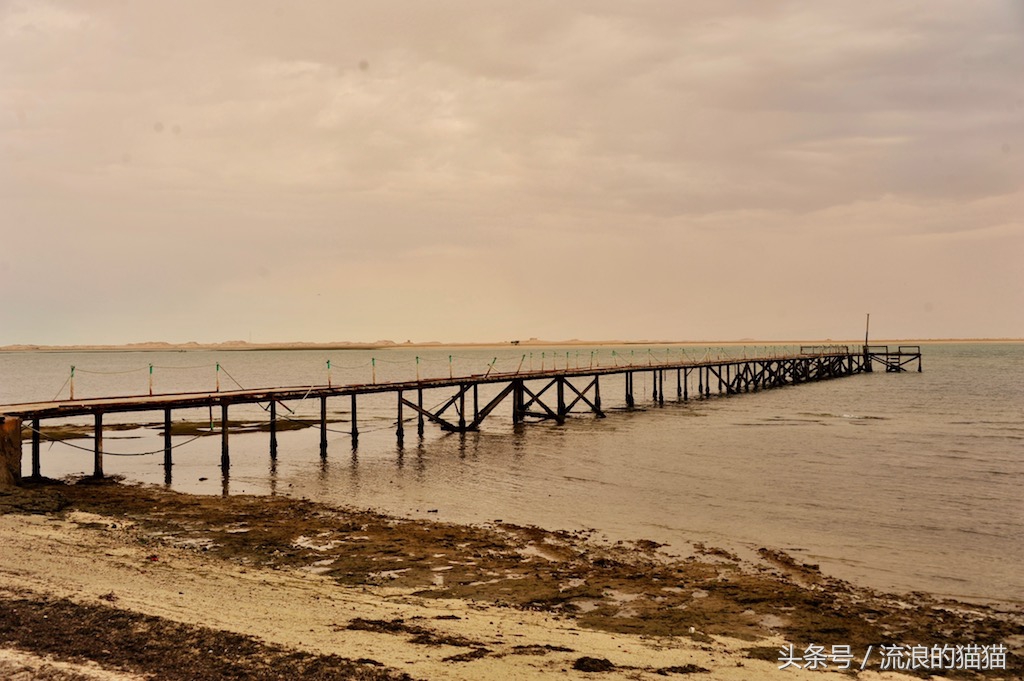 毛里塔尼亚，这个以肥为美的神奇国度究竟是什么样的？