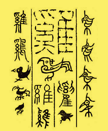 鸡为什么叫母鸡,鸡为什么叫家禽