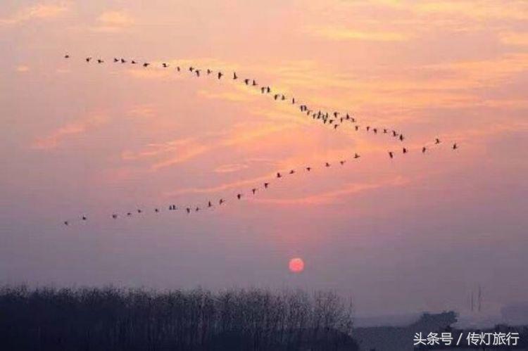 涵江庄边十音八乐,福建涵江十音八乐