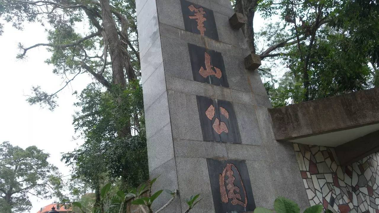 鼓浪屿真的值得去吗,鼓浪屿还敢去玩吗