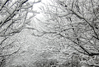 青天河景区最新通告免费,青天河免门票吗