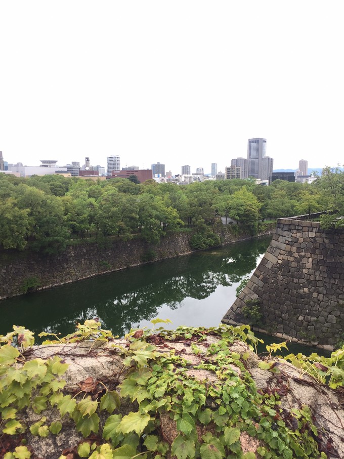 日本暴走族大乱战,日本大暴走电影