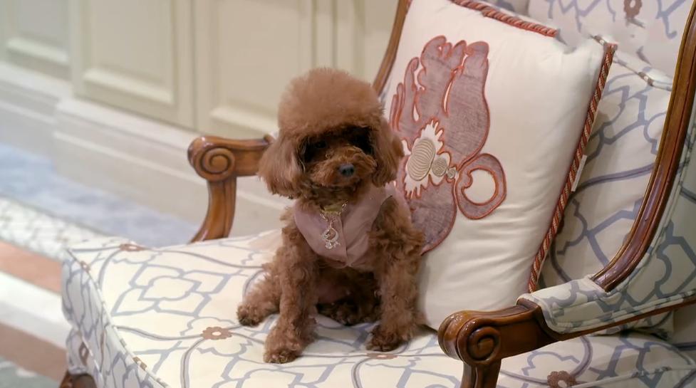 守护丽人朱琦琦刚到林氏上班,守护丽人朱琦琦什么时候被揭穿的