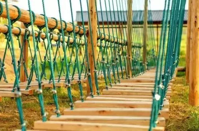 清远最美的花海在什么景点,广东清远花海风景