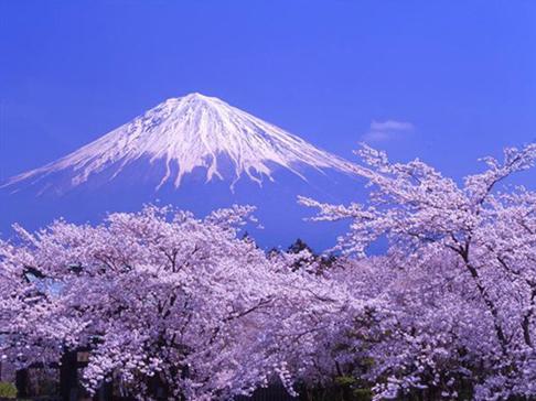 新媒体干货大礼包,新媒体服务产品