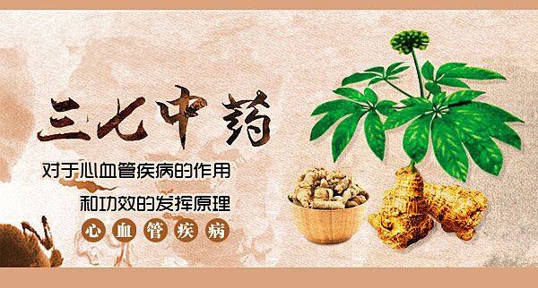 三七的7种正确吃法以前都白吃了,长期吃三七有好处还是坏处