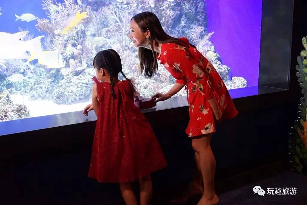 新加坡环球影城亲子攻略,新加坡环球影城攻略一日游