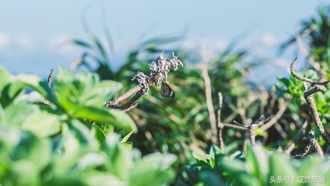去台湾看自然风景,台湾小众景点