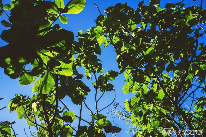 去台湾看自然风景,台湾小众景点
