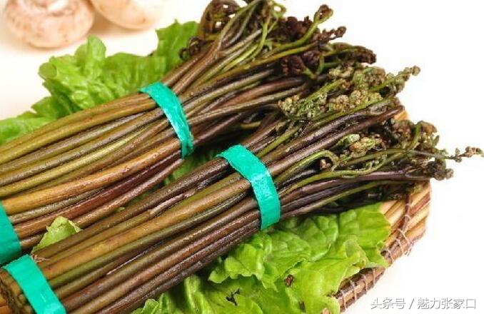 张家口吃美食最新,张家口饮食习惯