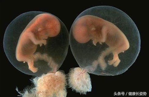 涨知识了但是记不住,涨知识剥洋葱不流泪