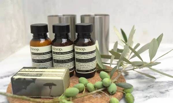 十大高端酒店用品排行榜 (高端酒店都用什么牌子的洗浴用品)