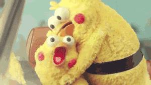 这两只在日本爆火的贱鹦鹉,一定能成为表情包界最火的新网红!