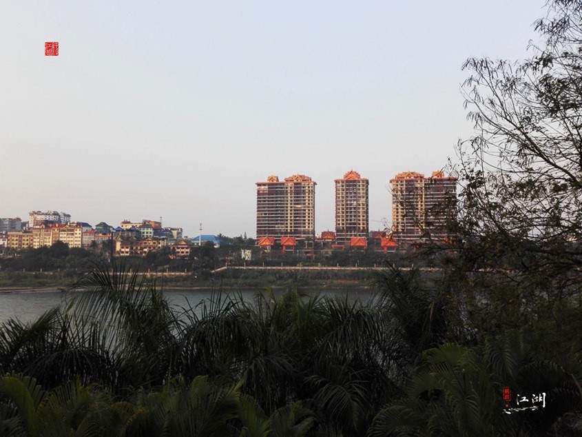 西双版纳奋斗一生,西双版纳不出门打工