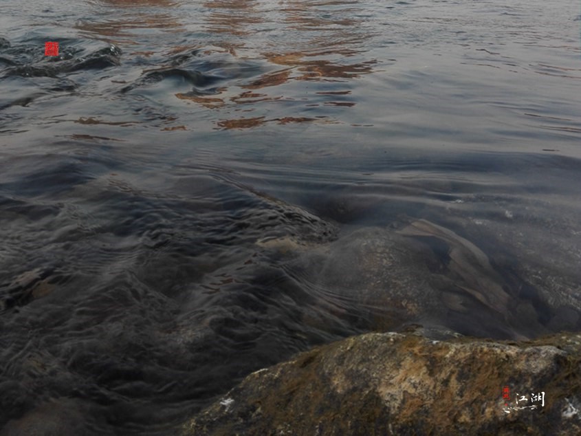 西双版纳奋斗一生,西双版纳不出门打工