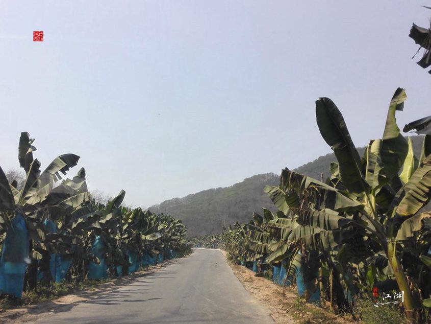 西双版纳奋斗一生,西双版纳不出门打工