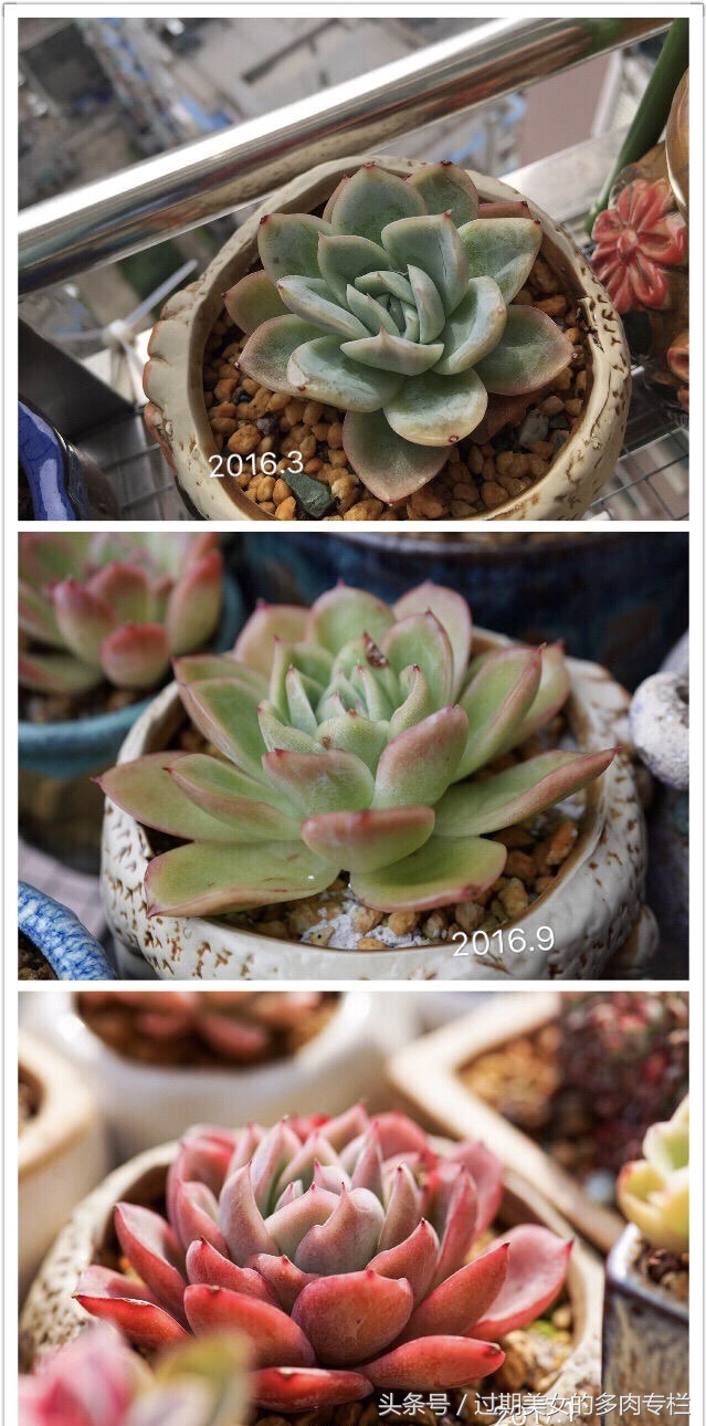 最爱对比图！对比后更惊艳！