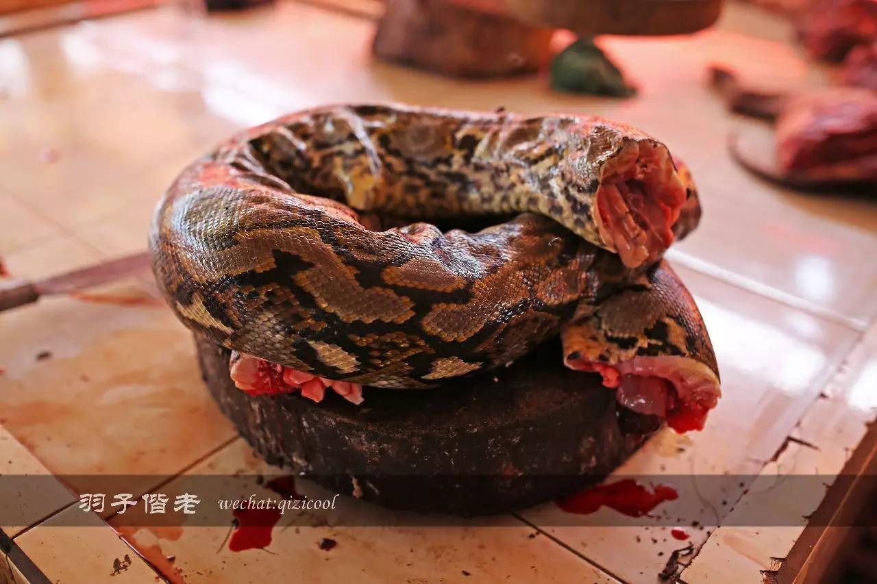 印尼美娜多旅游,印尼美娜多跟团游