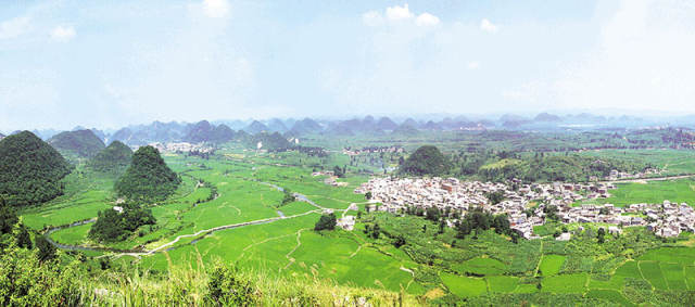 猴年热门的创业生意,新时代赚钱商机