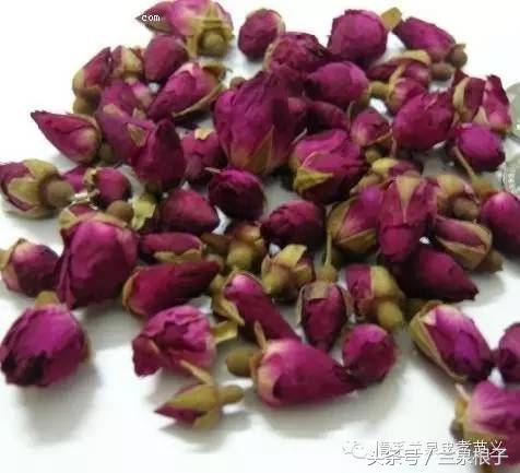 兰州苦水玫瑰,永登苦水玫瑰可以摘了吗