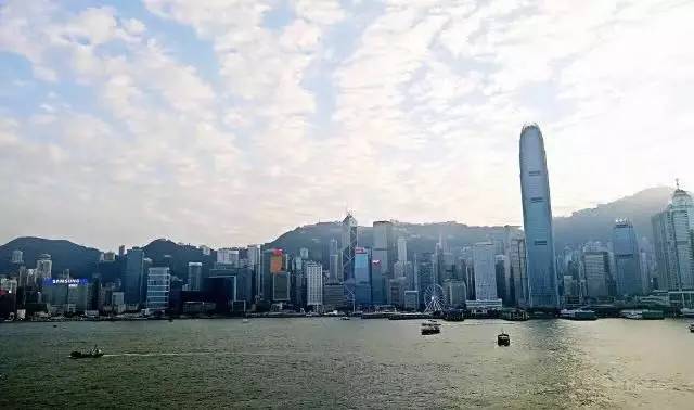 riceforce是什么牌子,riceforce的精华