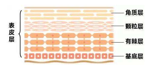 为什么去角质会搓出泥,去角质搓出来的是泥吗