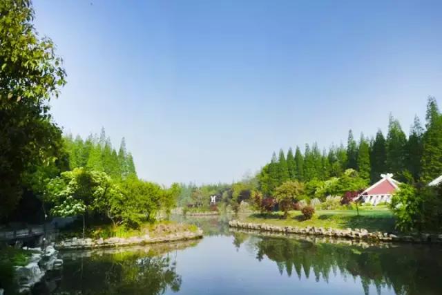 过年上海周边旅游最值得去的地方,上海假期周边旅游攻略大全