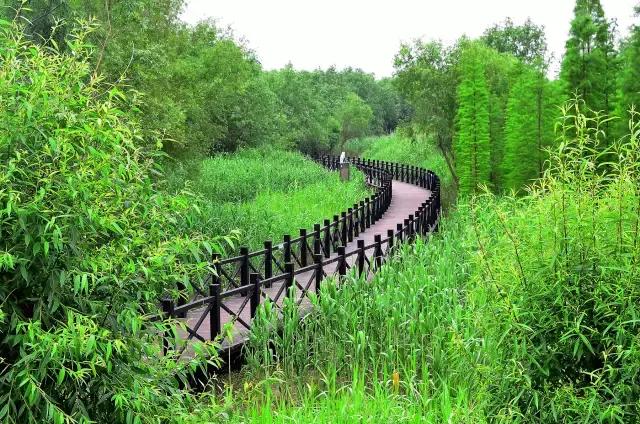 过年上海周边旅游最值得去的地方,上海假期周边旅游攻略大全