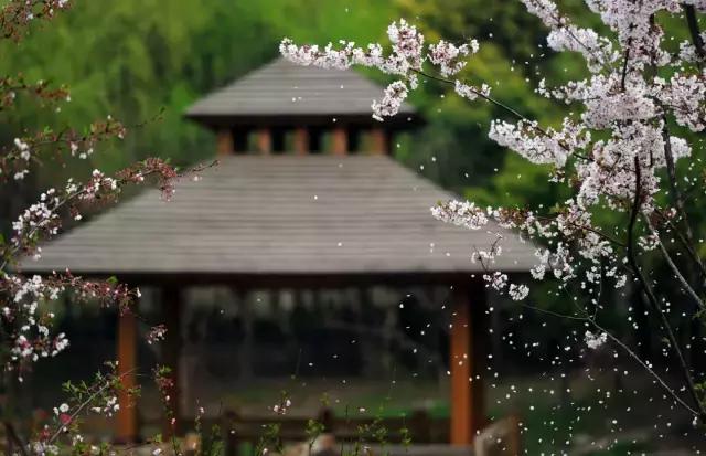 过年上海周边旅游最值得去的地方,上海假期周边旅游攻略大全
